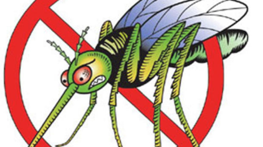 Pénteken szúnyog gyérítés ismét Kapuváron