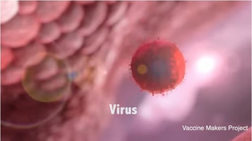 Információk a koronavírusról - pánik nélkül