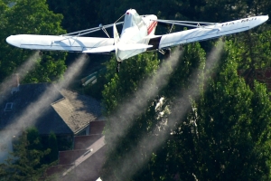 Július 6-án, Légi szúnyogírtás a város felett